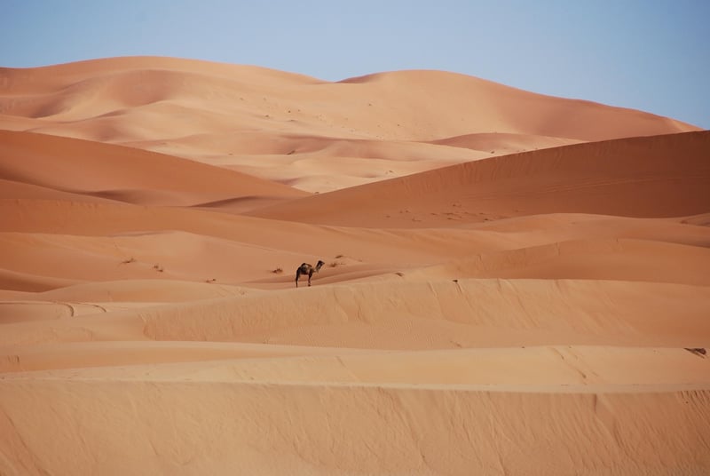 Tagine